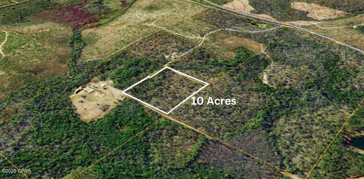 0 Stallion Lane Marianna, FL 32448 - Photo 3 of 10