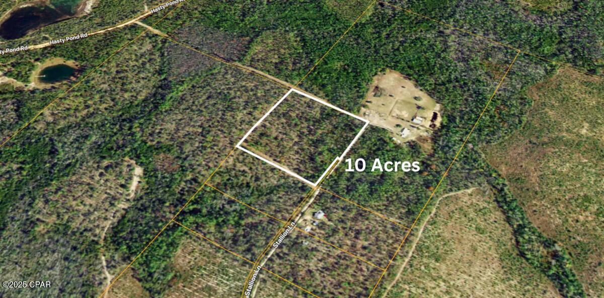 0 Stallion Lane Marianna, FL 32448 - Photo 7 of 10