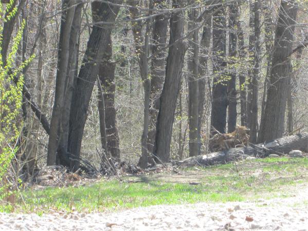 1 North Common Road Westminster, MA 01473 - Photo 11 of 13 Gallery Image 11