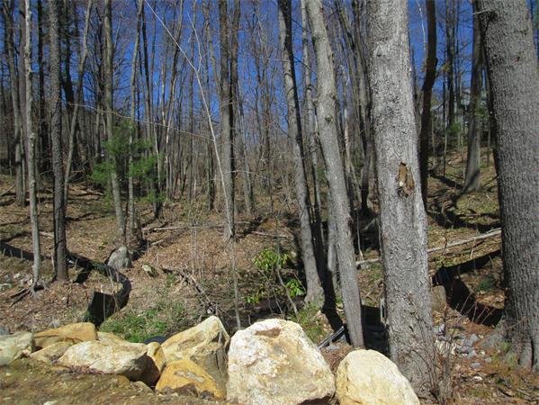 1 North Common Road Westminster, MA 01473 - Photo 3 of 13 Gallery Image 3