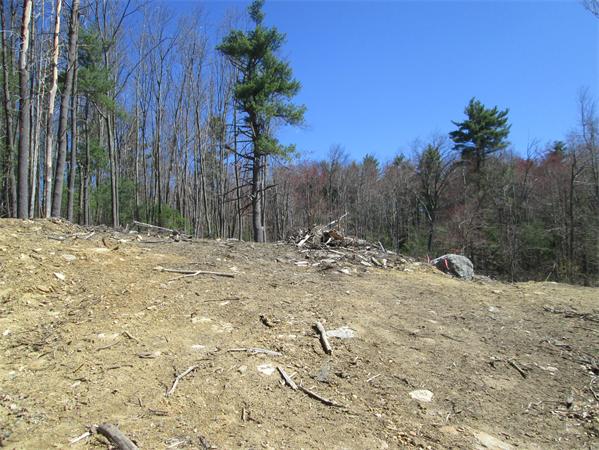 1 North Common Road Westminster, MA 01473 - Photo 6 of 13 Gallery Image 6