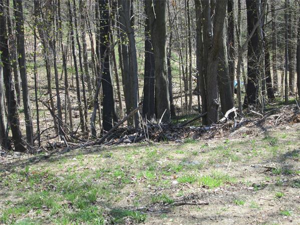 1 North Common Road Westminster, MA 01473 - Photo 9 of 13 Gallery Image 9