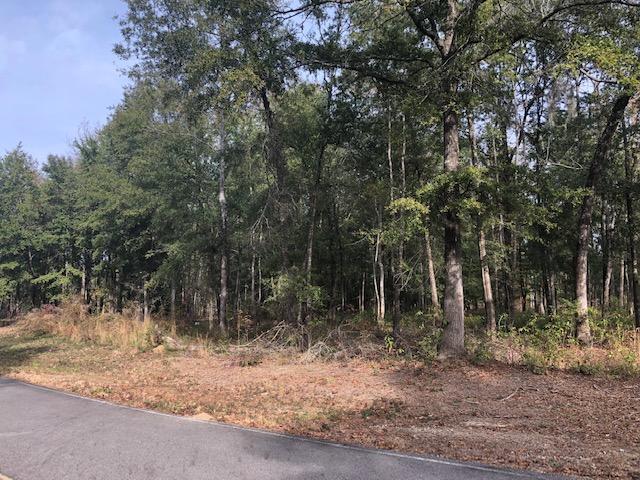 0 My Road Vance, SC 29163 - Photo 11 of 23 IMG_2376