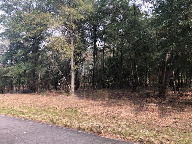 0 My Road Vance, SC 29163 - Photo 13 of 23 IMG_2378