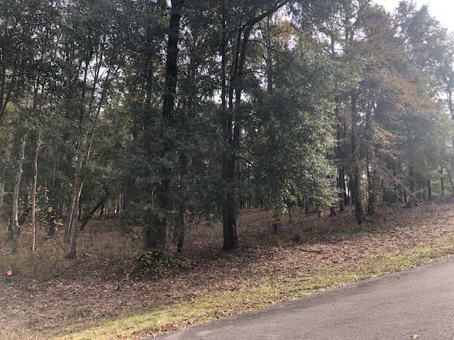 0 My Road Vance, SC 29163 - Photo 14 of 23 IMG_2379
