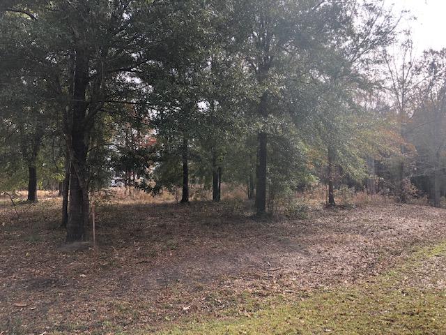 0 My Road Vance, SC 29163 - Photo 18 of 23 IMG_2383