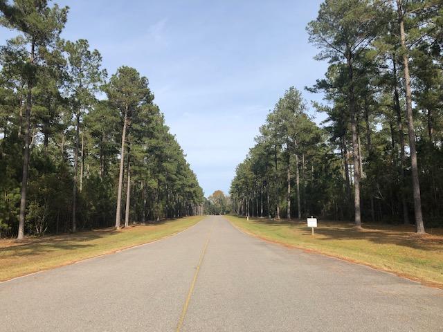 0 My Road Vance, SC 29163 - Photo 21 of 23 IMG_2406