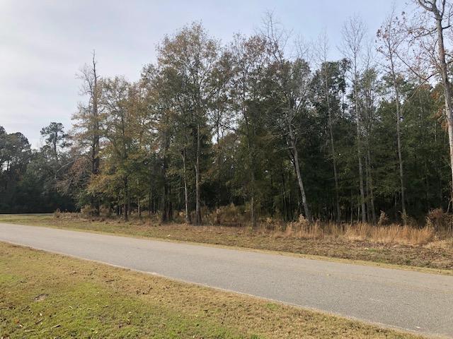0 My Road Vance, SC 29163 - Photo 9 of 23 IMG_2374