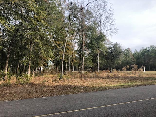0 My Road Vance, SC 29163 - Photo 10 of 23 IMG_2375