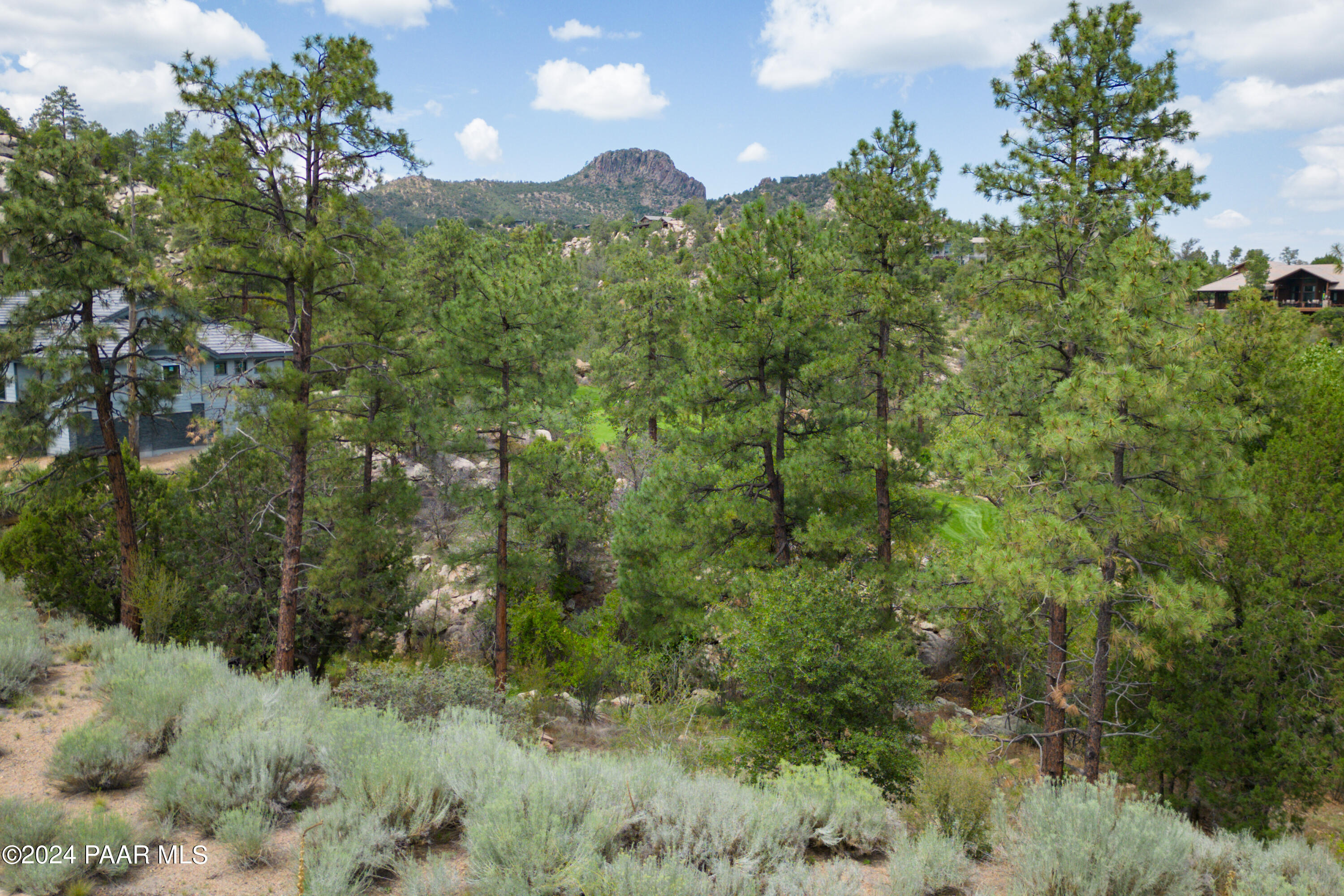 1920 Los Pinons Prescott, AZ 86303 - Photo 28 of 28 a view of a lush green forest with a street