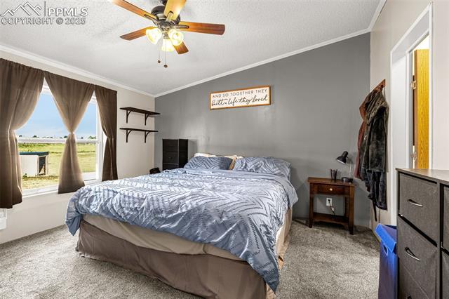 5850 Prospero Road Peyton, CO 80831 - Photo 16 of 39 Gallery Image 16