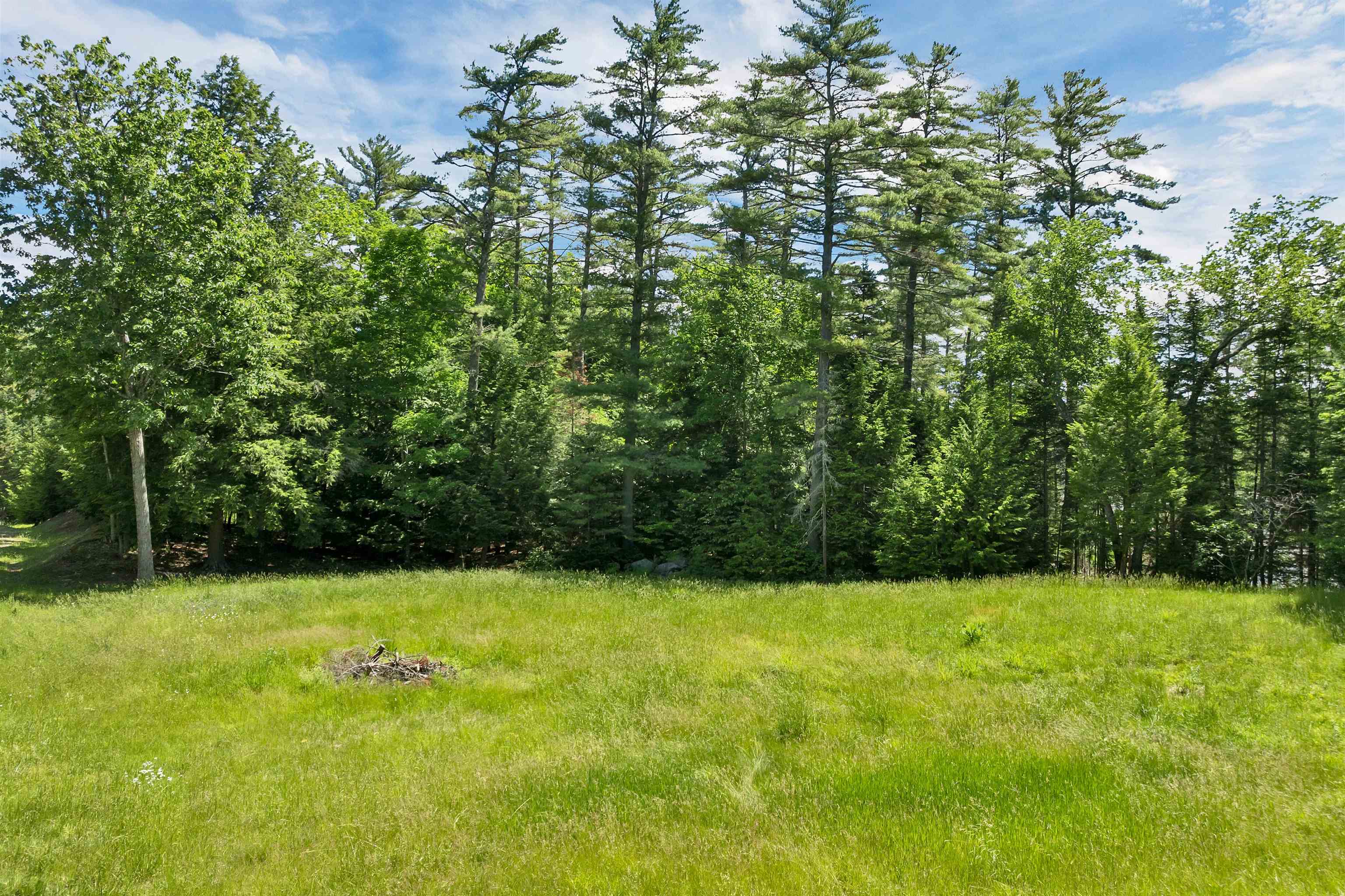 0 Beaver Pond Road Moultonborough, NH 03254 - Photo 14 of 46