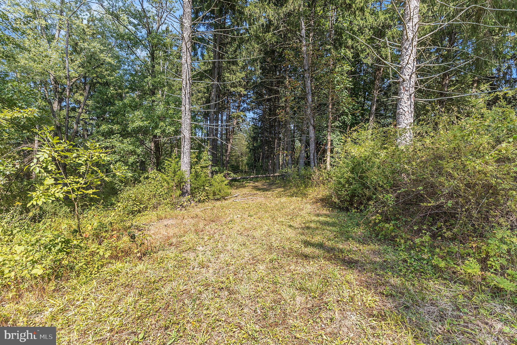2655 Hedrick Road Harleysville, PA 19438 - Photo 33 of 35