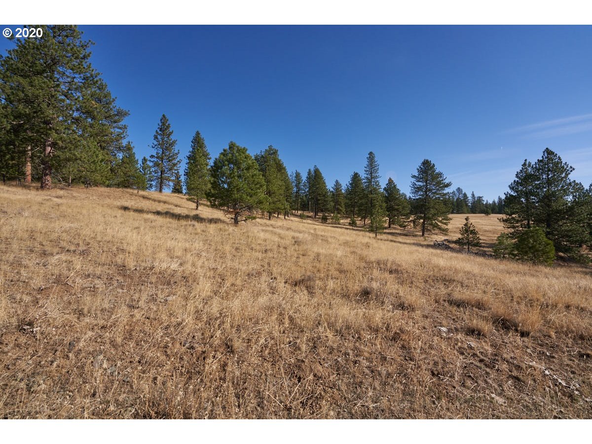 1 Dunham Road Enterprise, OR 97828 - Photo 4 of 27 Gallery Image 4