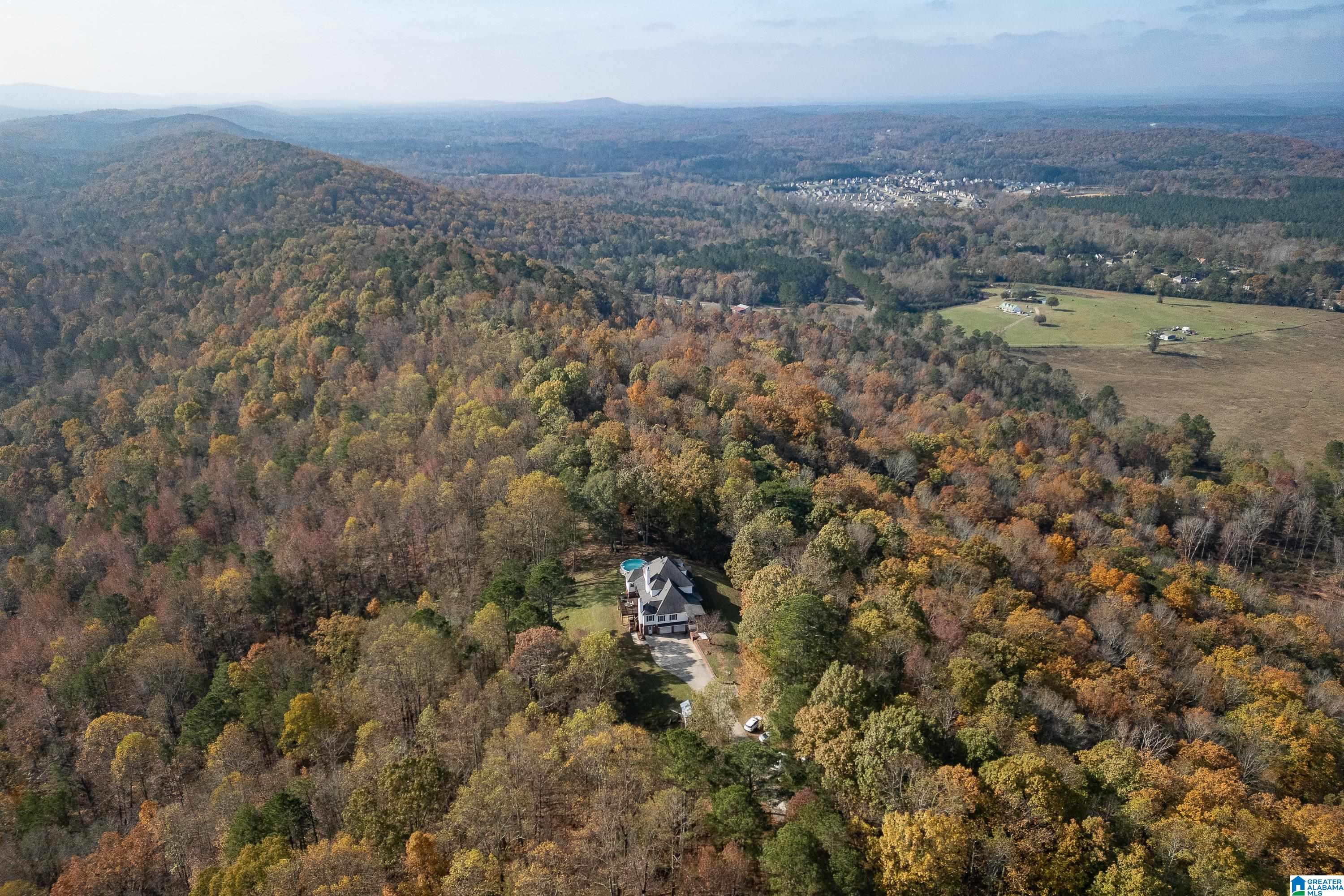 600 Honeysuckle Lane Springville, AL 35146 - Photo 55 of 77