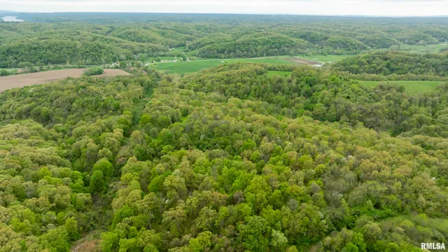 $332,455 | 0 Bee Creek Road, Pearl, IL 62361