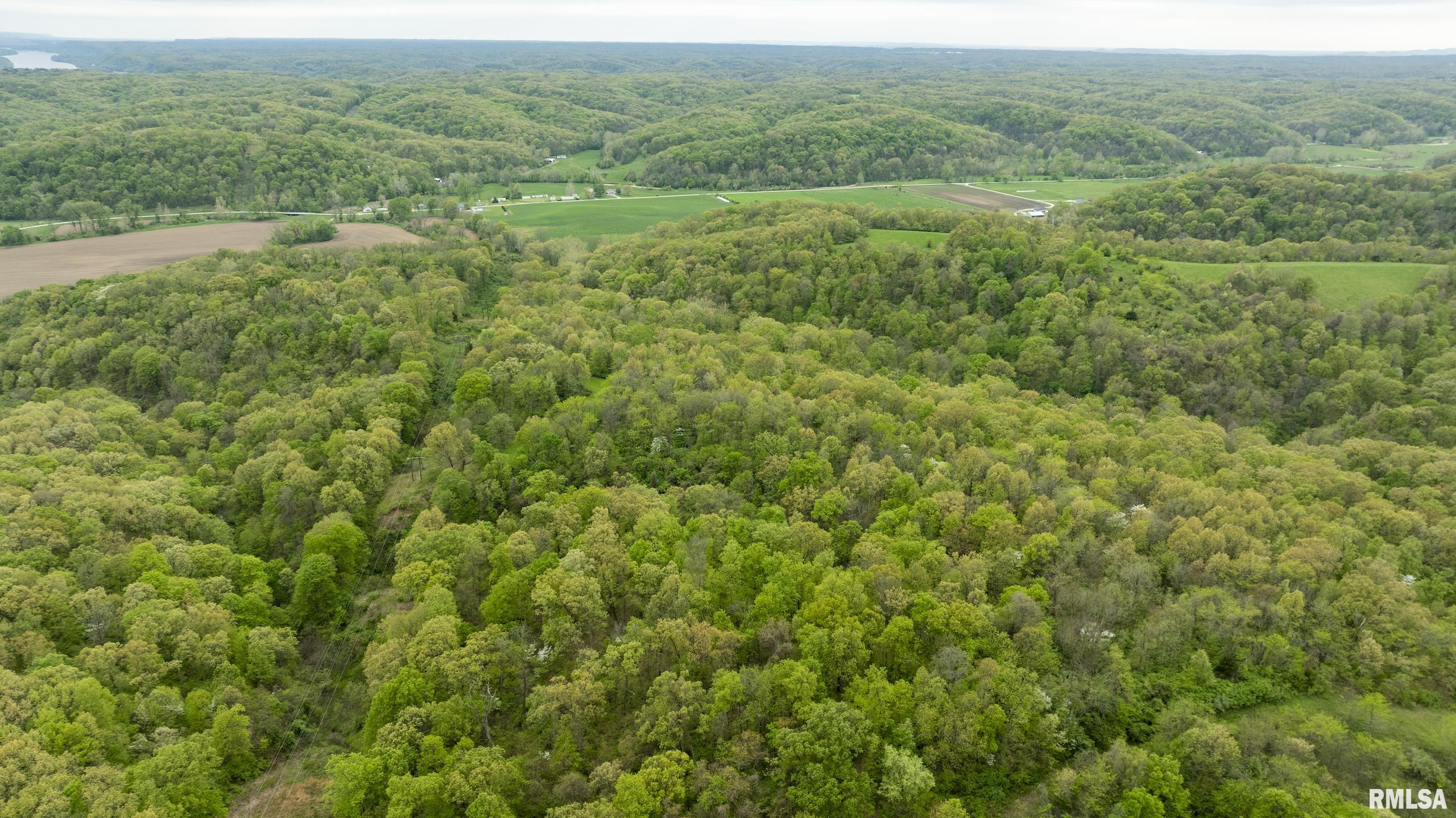 0 Bee Creek Road Pearl, IL 62361 - Photo 1 of 37