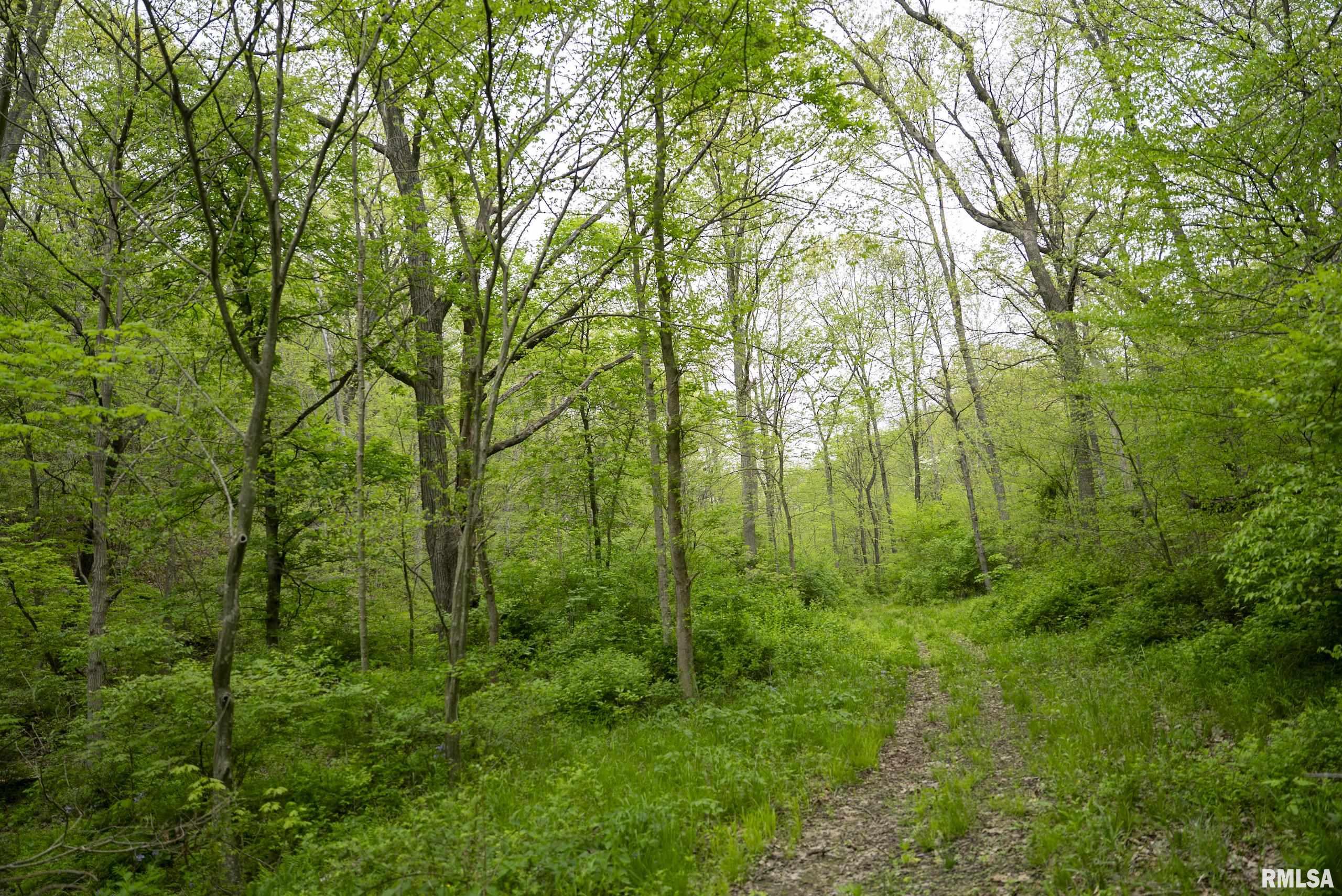 0 Bee Creek Road Pearl, IL 62361 - Photo 12 of 37