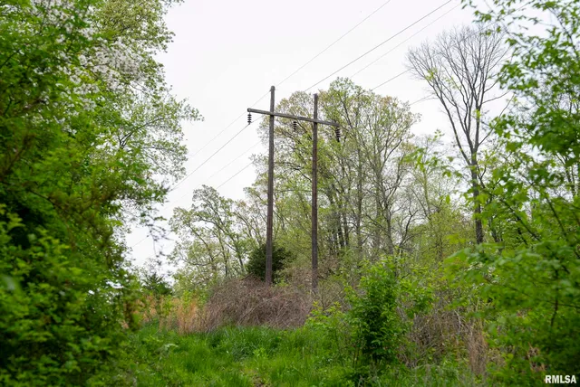 $332,455 | 0 Bee Creek Road, Pearl, IL 62361