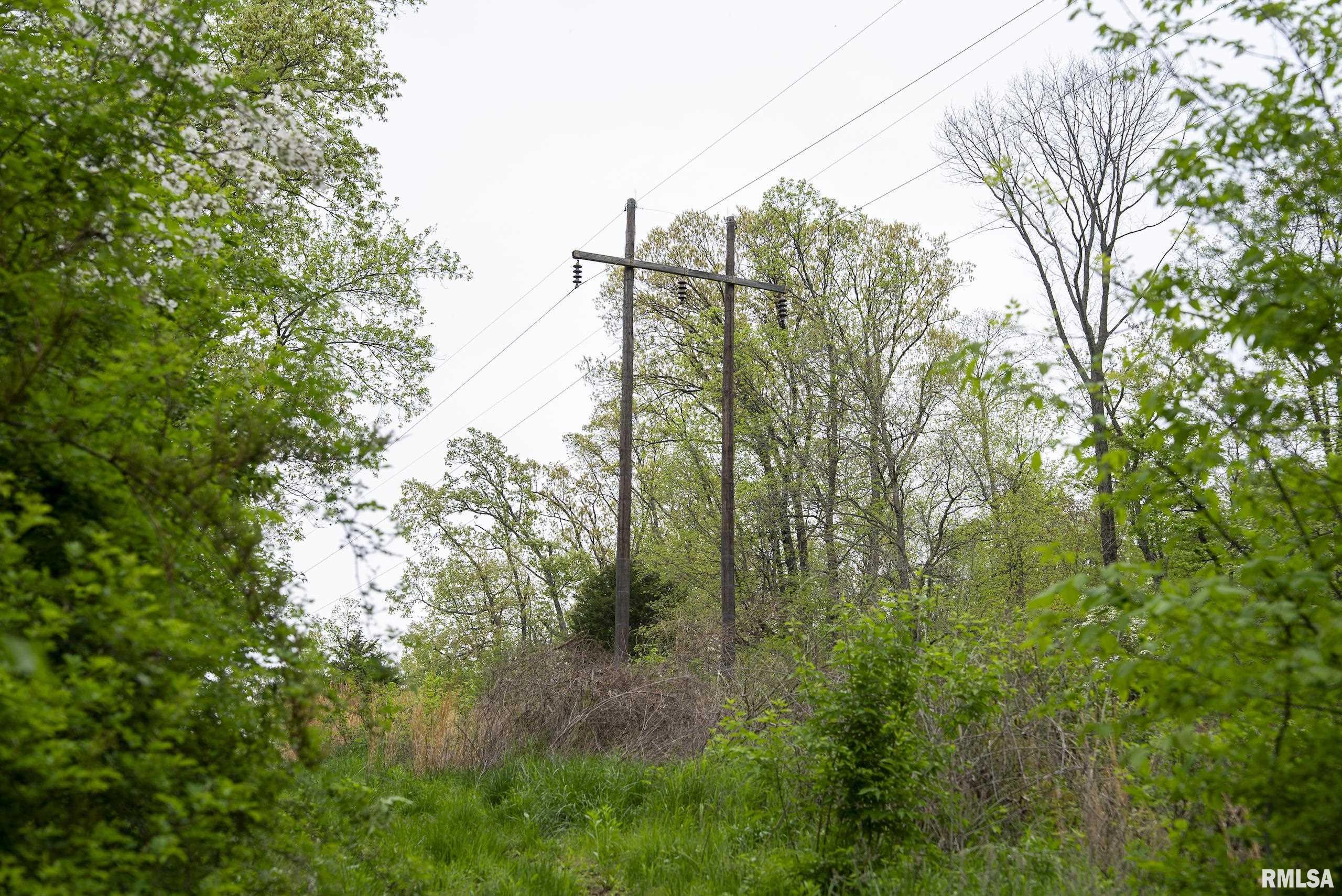 0 Bee Creek Road Pearl, IL 62361 - Photo 13 of 37