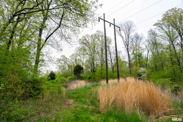 $332,455 | 0 Bee Creek Road, Pearl, IL 62361