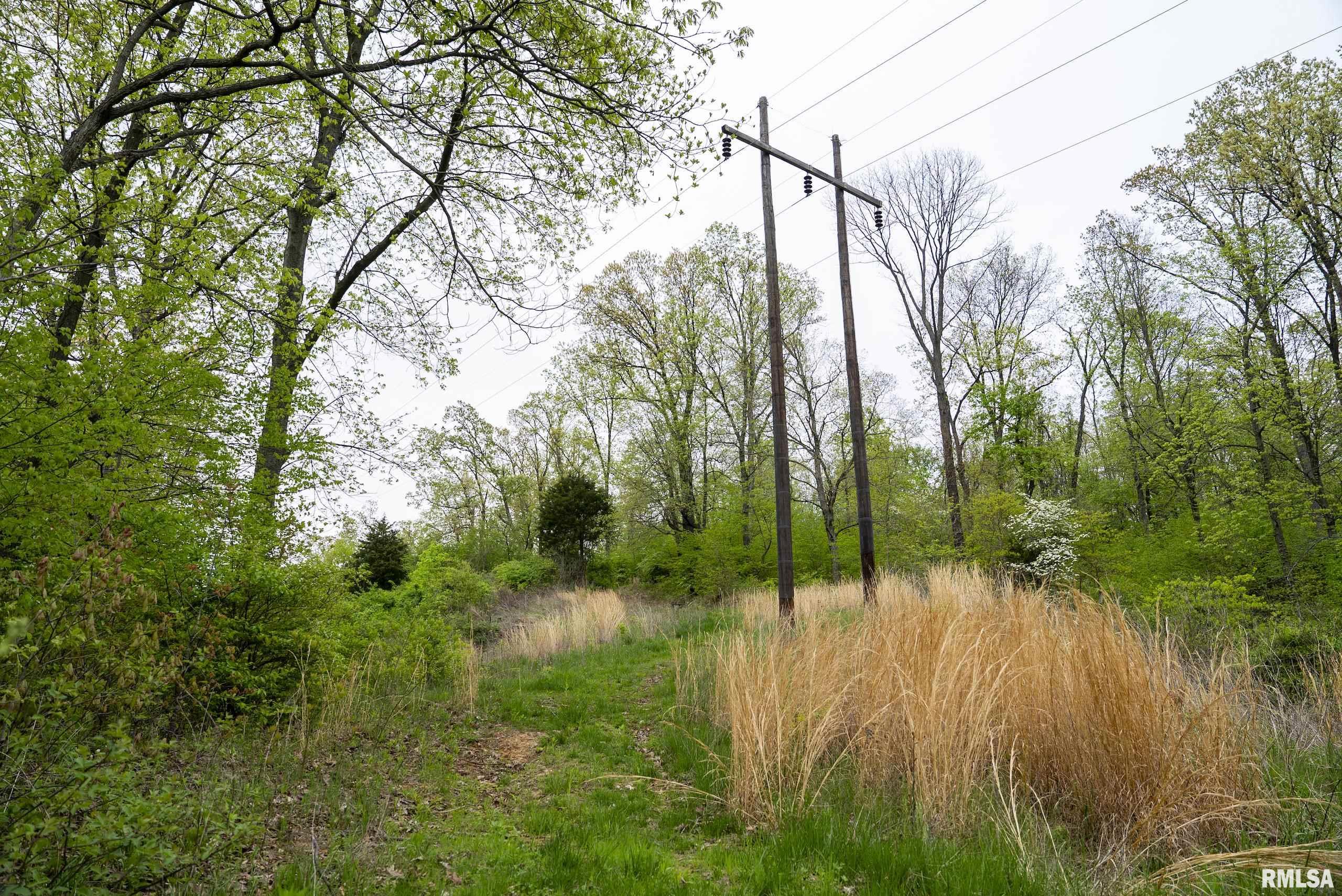 0 Bee Creek Road Pearl, IL 62361 - Photo 14 of 37