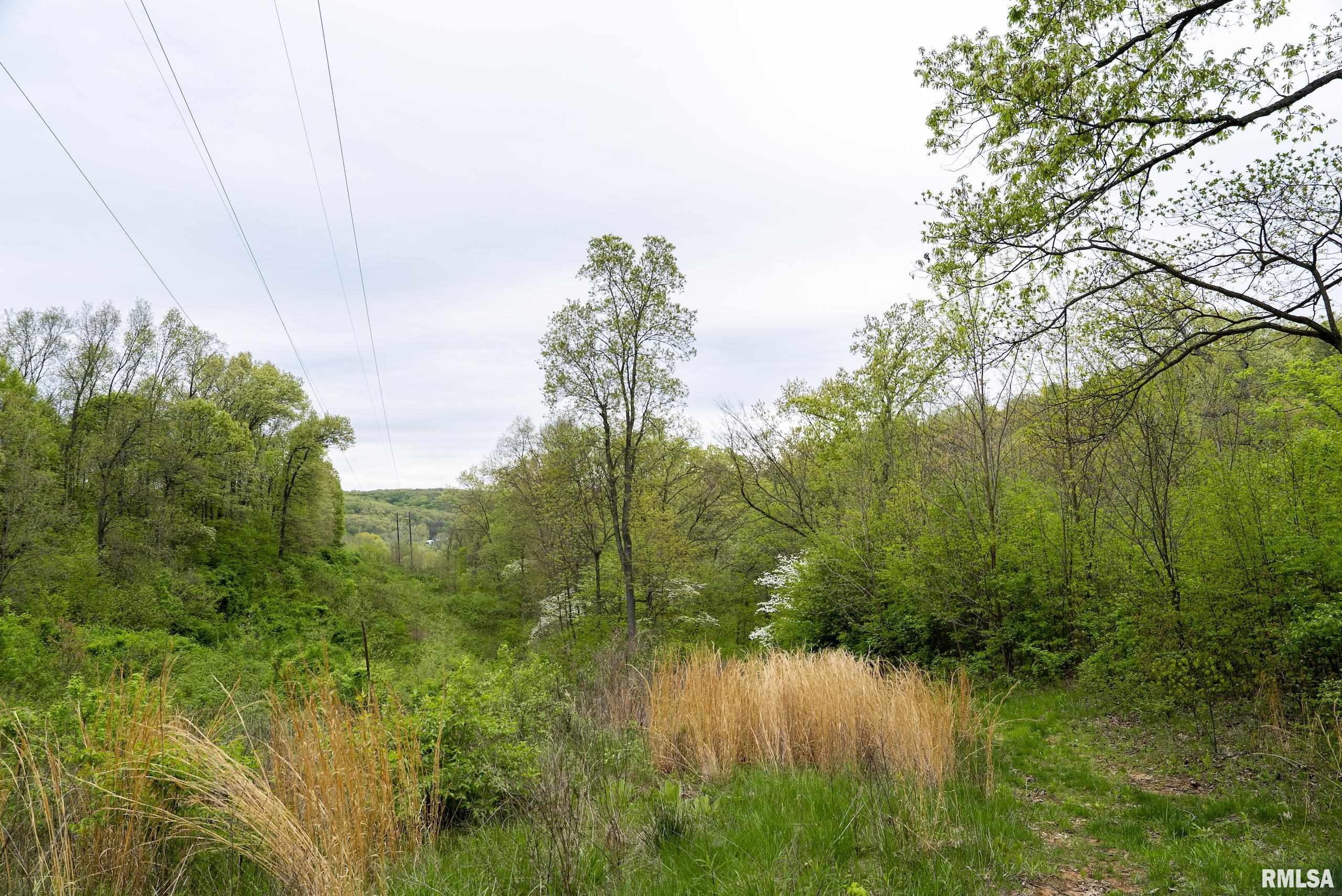 0 Bee Creek Road Pearl, IL 62361 - Photo 15 of 37