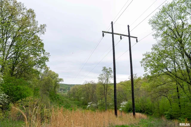 $332,455 | 0 Bee Creek Road, Pearl, IL 62361