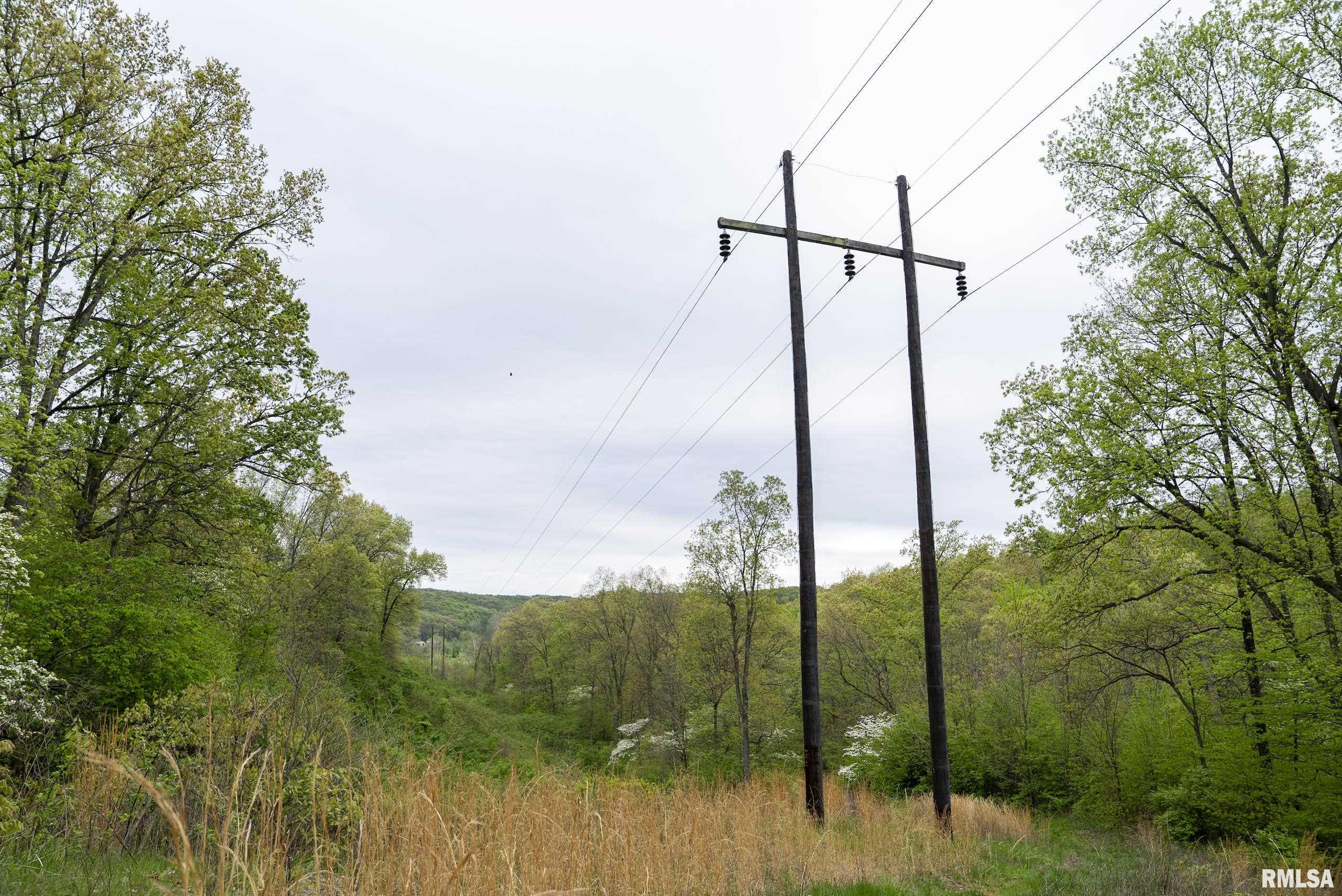 0 Bee Creek Road Pearl, IL 62361 - Photo 16 of 37