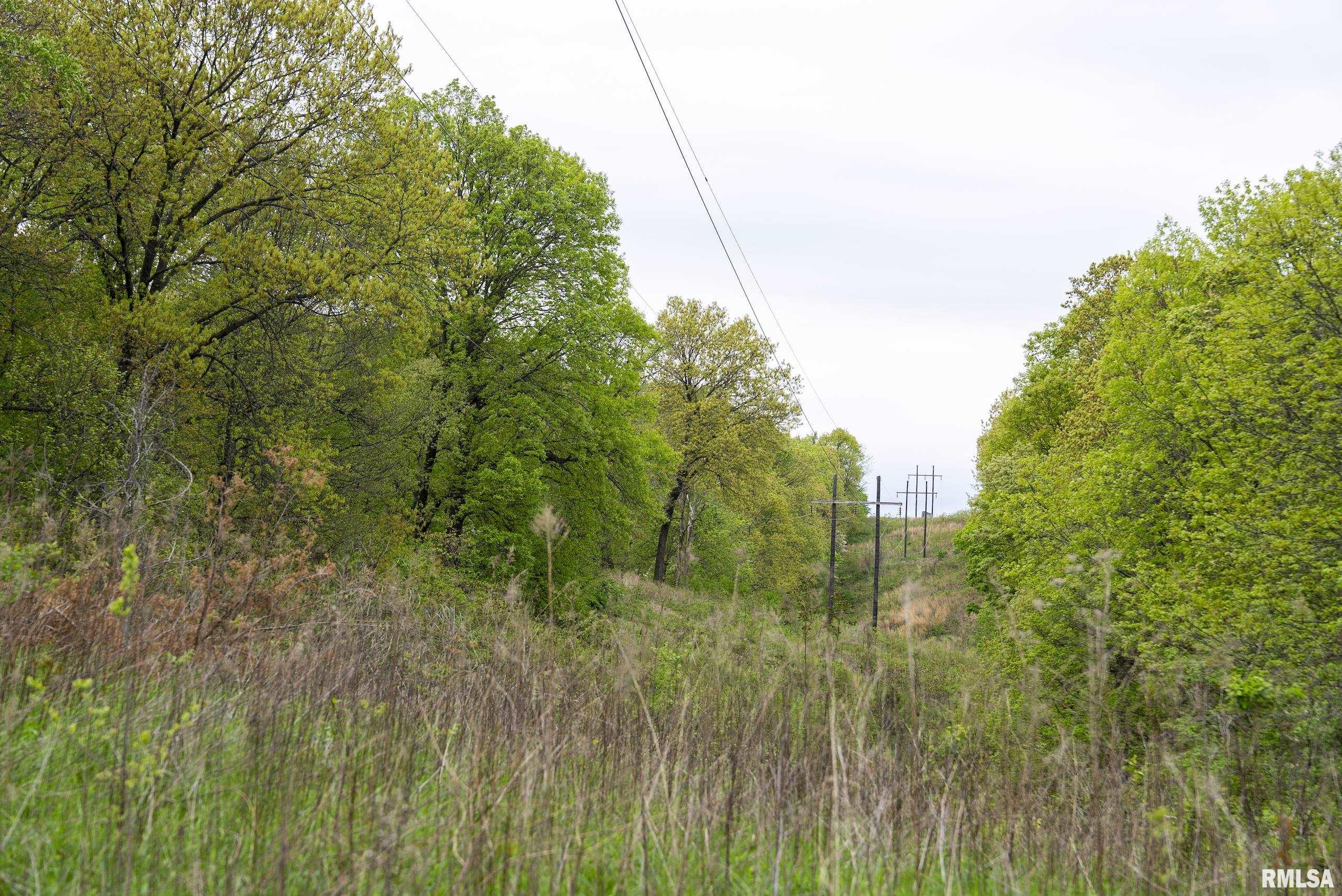 0 Bee Creek Road Pearl, IL 62361 - Photo 17 of 37