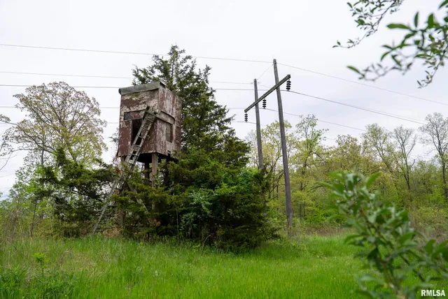 $332,455 | 0 Bee Creek Road, Pearl, IL 62361