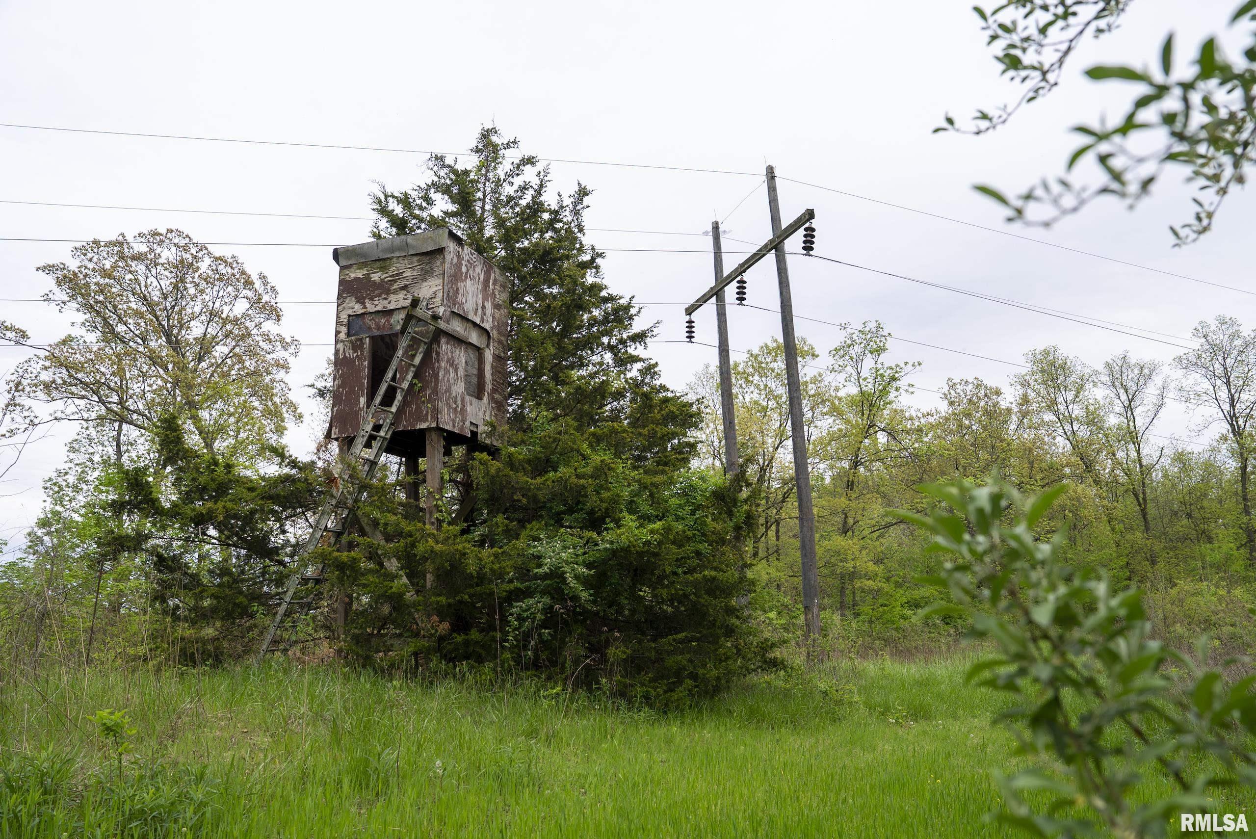 0 Bee Creek Road Pearl, IL 62361 - Photo 18 of 37