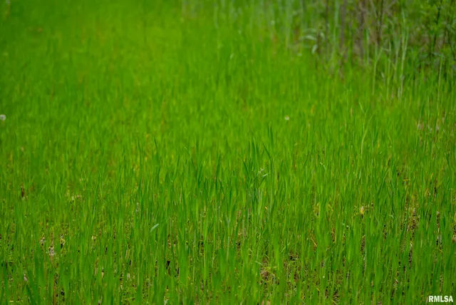 $332,455 | 0 Bee Creek Road, Pearl, IL 62361