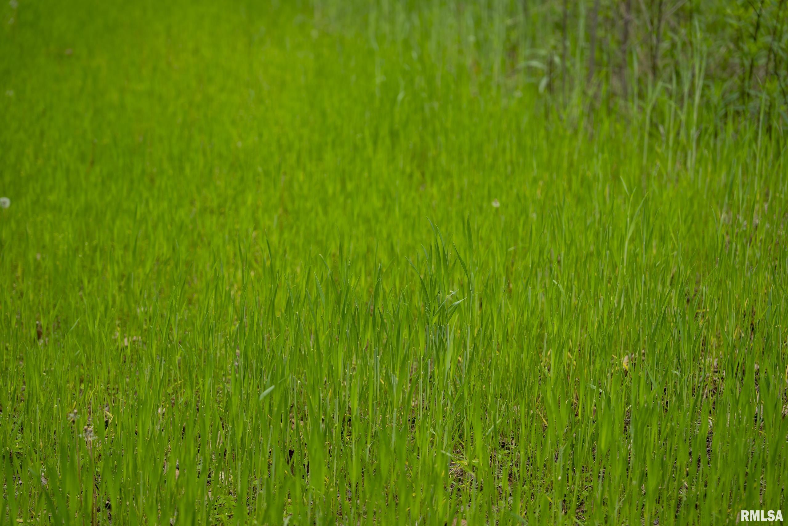 0 Bee Creek Road Pearl, IL 62361 - Photo 19 of 37