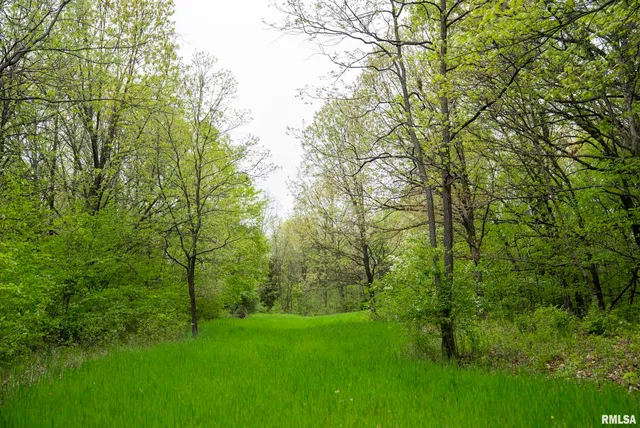 $332,455 | 0 Bee Creek Road, Pearl, IL 62361