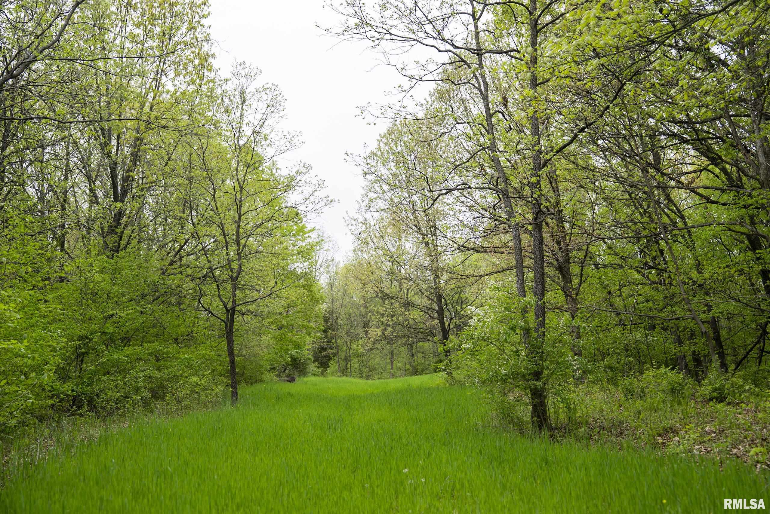 0 Bee Creek Road Pearl, IL 62361 - Photo 20 of 37