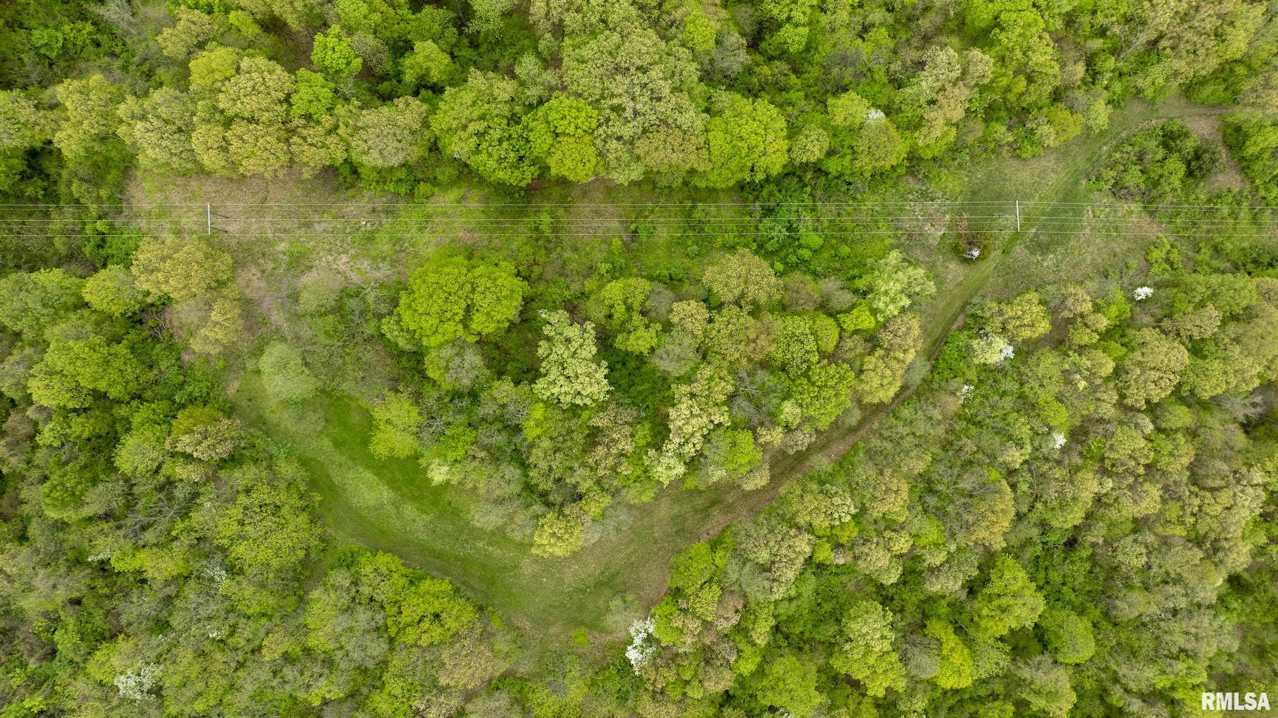 0 Bee Creek Road Pearl, IL 62361 - Photo 2 of 37