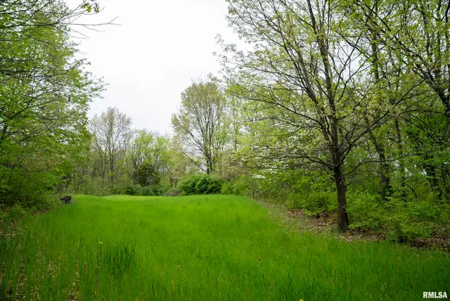 $332,455 | 0 Bee Creek Road, Pearl, IL 62361