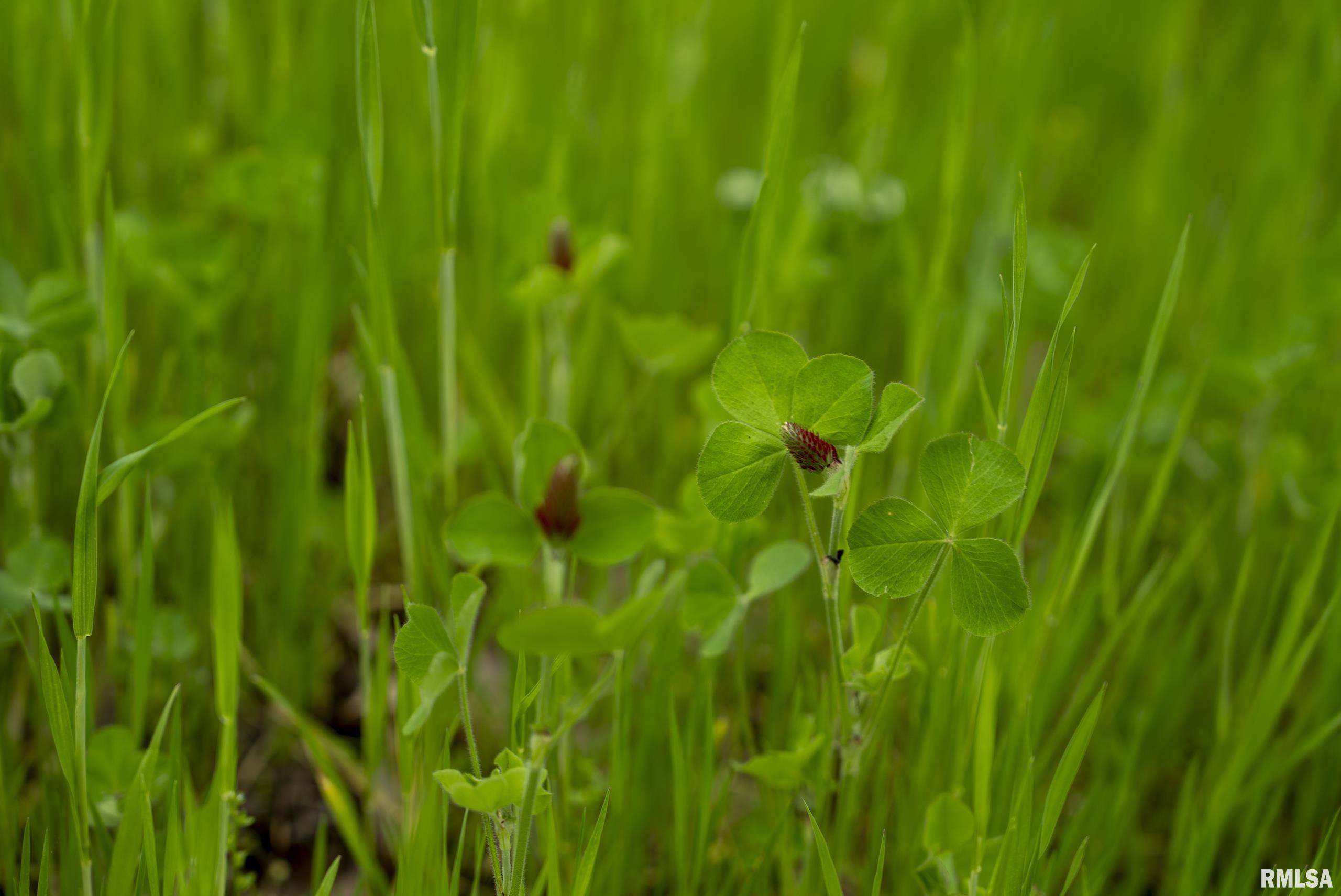 0 Bee Creek Road Pearl, IL 62361 - Photo 22 of 37