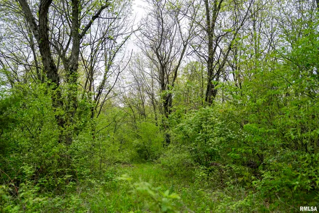 $332,455 | 0 Bee Creek Road, Pearl, IL 62361