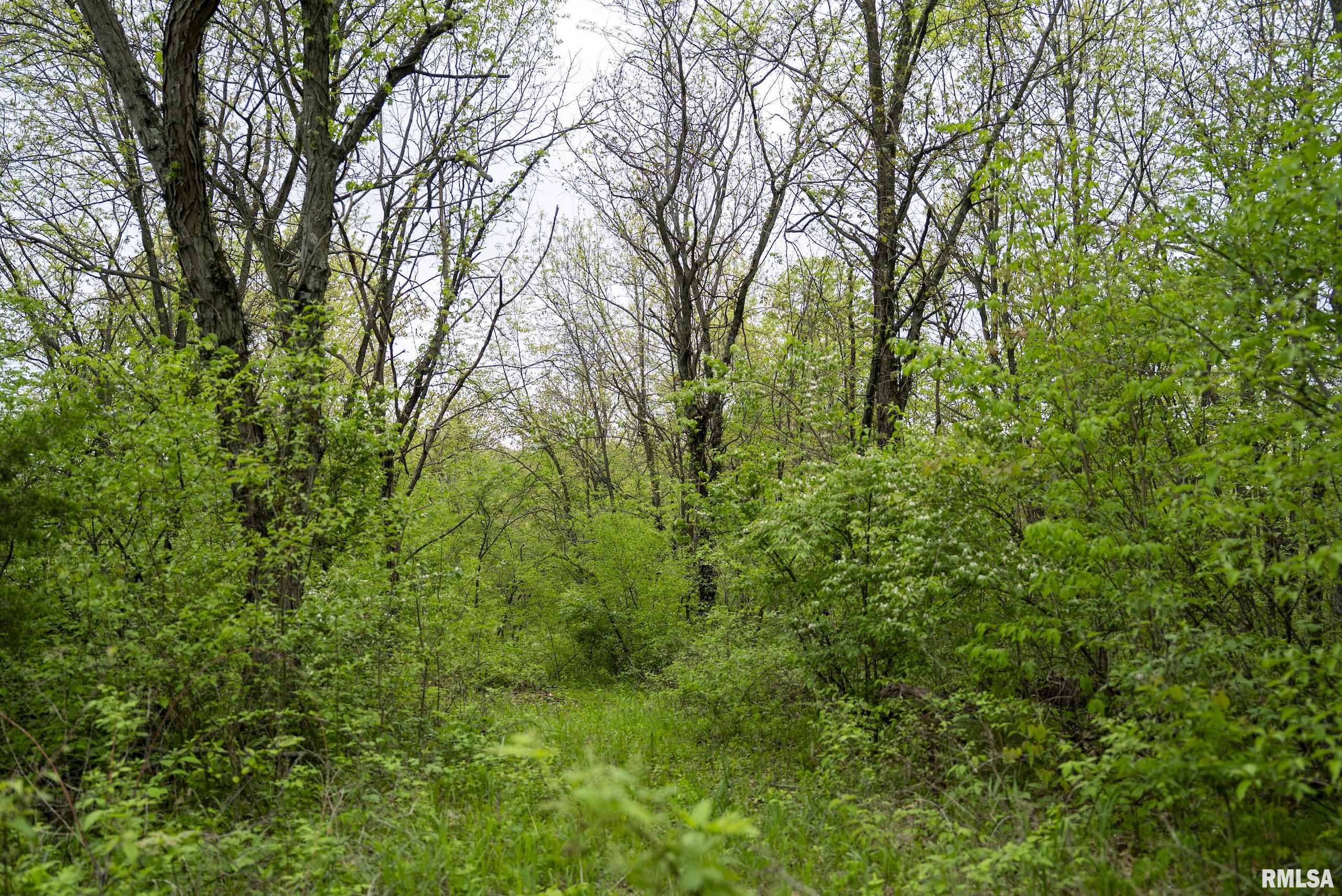 0 Bee Creek Road Pearl, IL 62361 - Photo 23 of 37