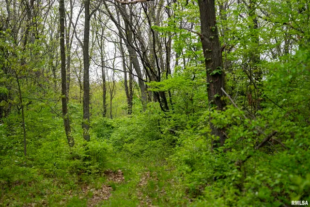 $332,455 | 0 Bee Creek Road, Pearl, IL 62361