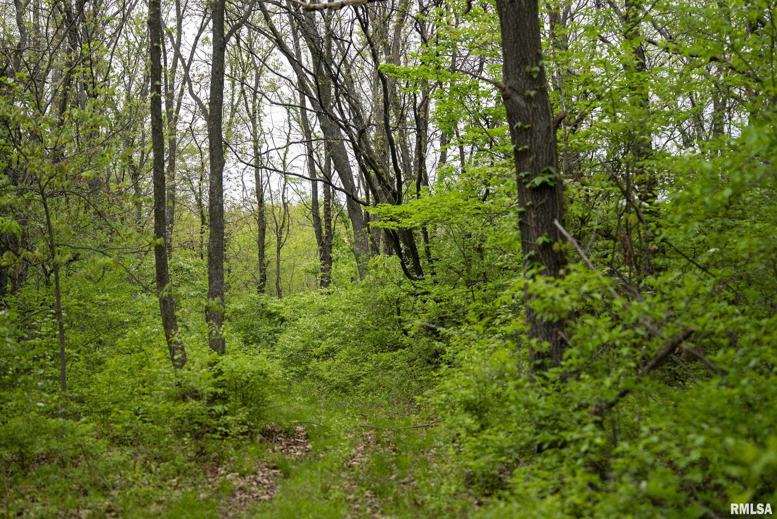 0 Bee Creek Road Pearl, IL 62361 - Photo 24 of 37