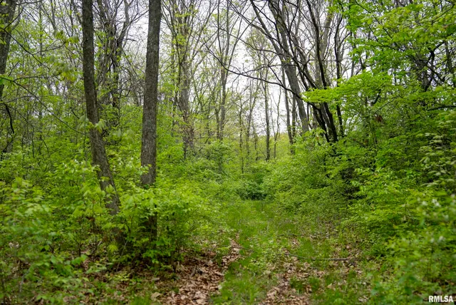 $332,455 | 0 Bee Creek Road, Pearl, IL 62361