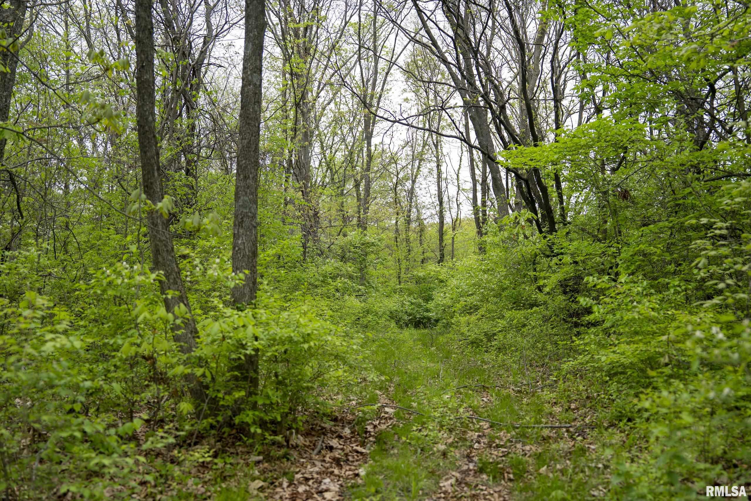 0 Bee Creek Road Pearl, IL 62361 - Photo 25 of 37