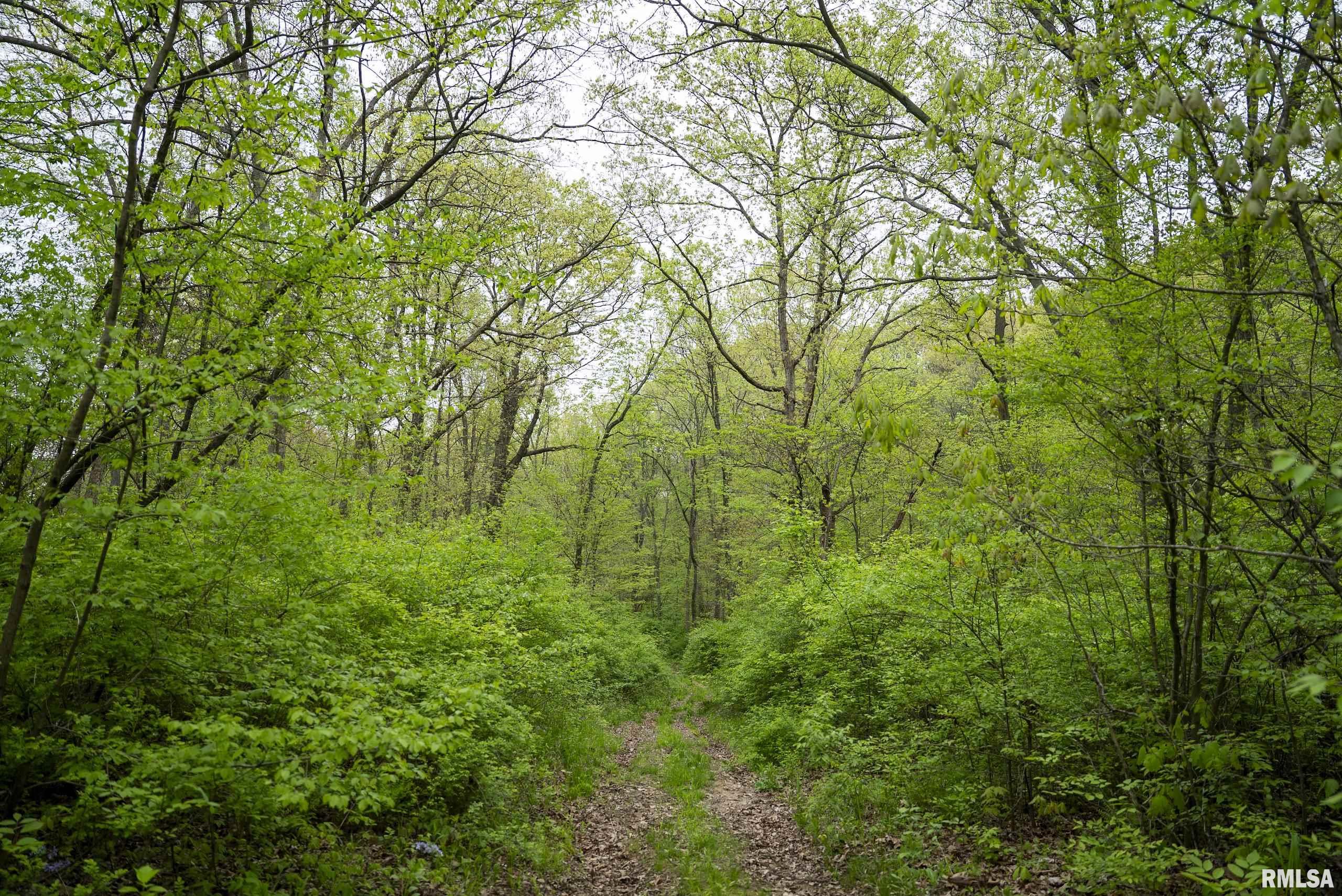 0 Bee Creek Road Pearl, IL 62361 - Photo 27 of 37