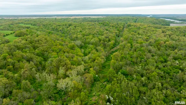 $332,455 | 0 Bee Creek Road, Pearl, IL 62361