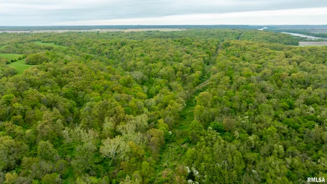 $332,455 | 0 Bee Creek Road, Pearl, IL 62361