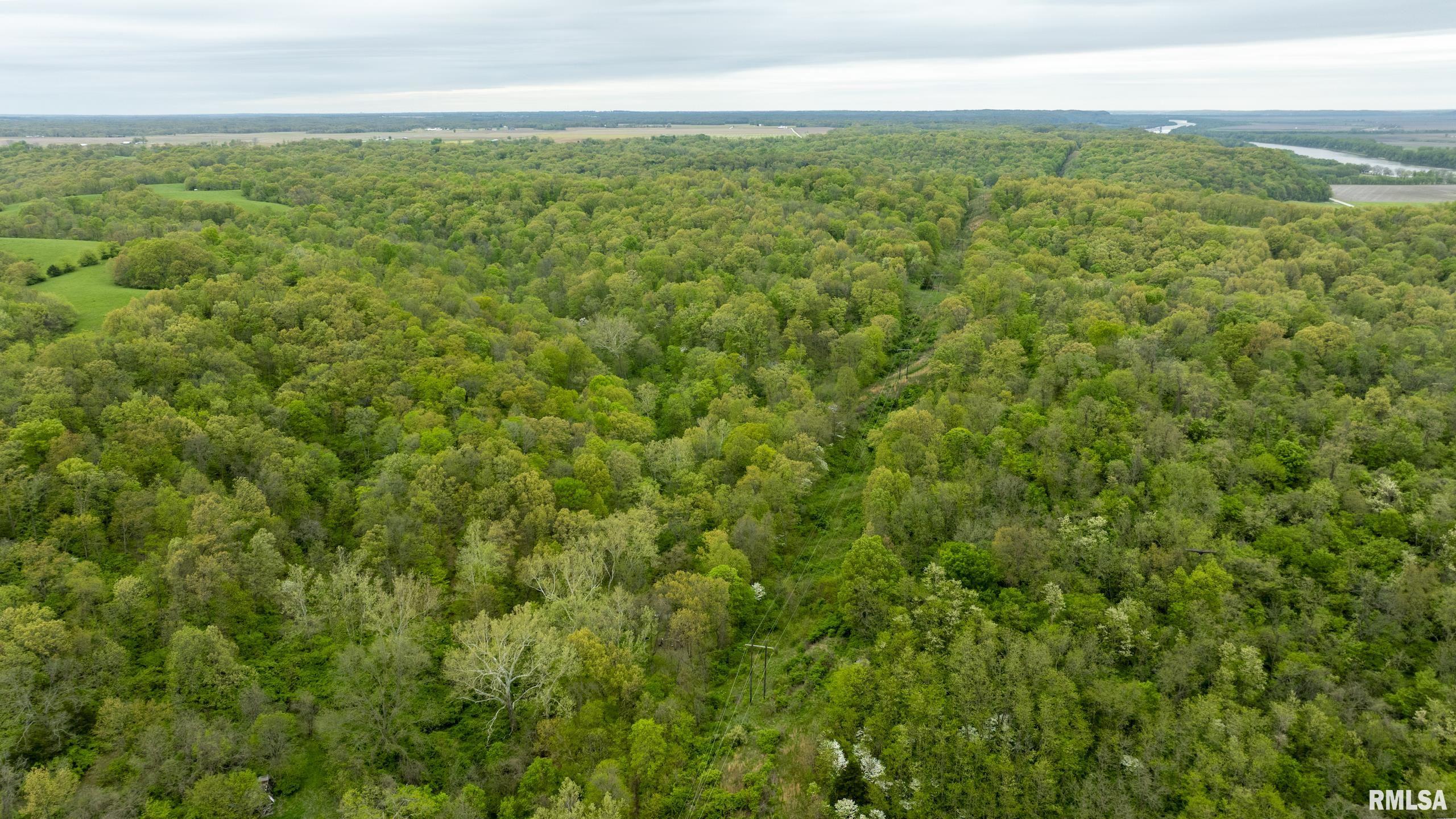 0 Bee Creek Road Pearl, IL 62361 - Photo 28 of 37