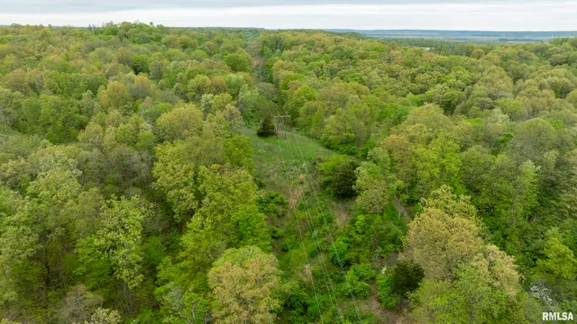 $332,455 | 0 Bee Creek Road, Pearl, IL 62361